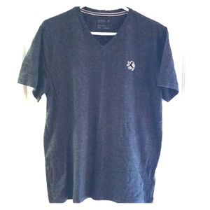 Express Jersey V neck t-shirt